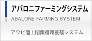 アバロニファーミングシステム　アワビ陸上閉鎖循環養殖システム